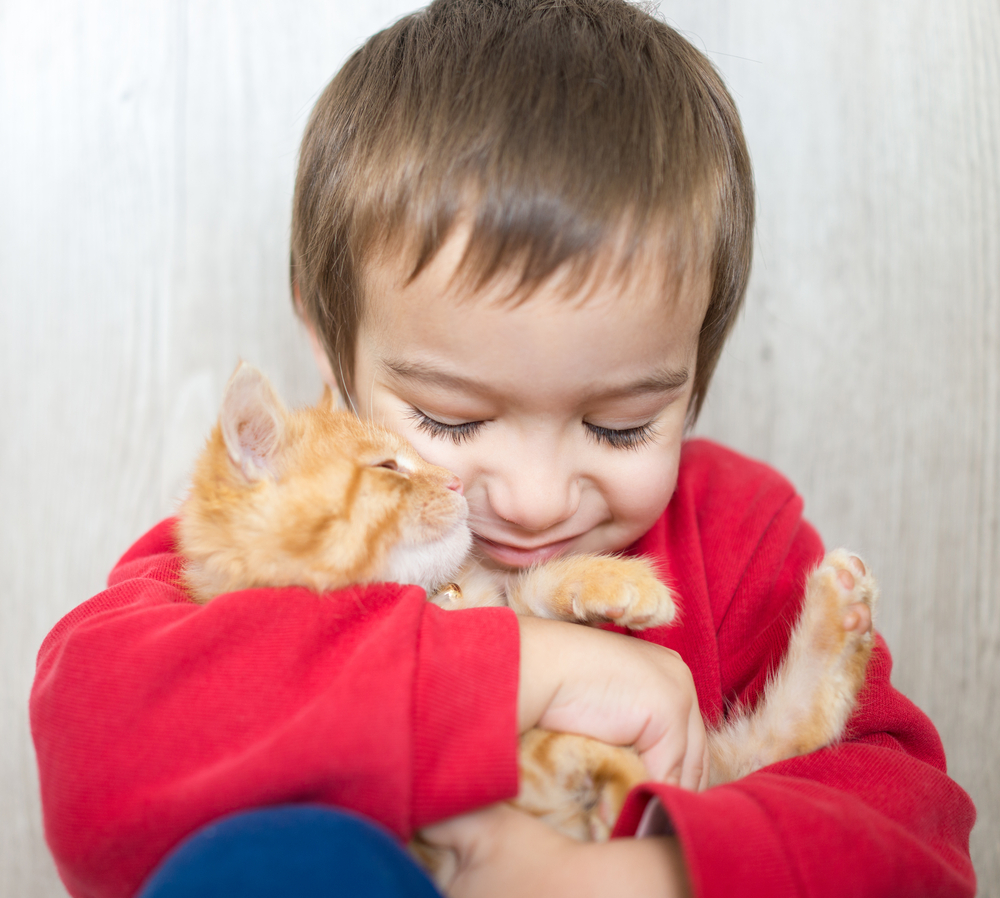 Portrait of child holding yellow kitty cat